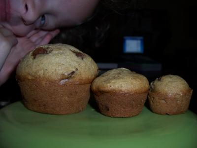 Zucchini muffins for breakfast with chocolate chips and Applesauce